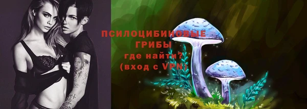молекула духа Баксан
