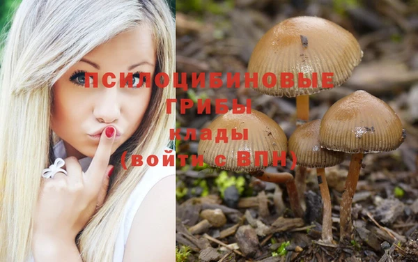 молекула духа Баксан