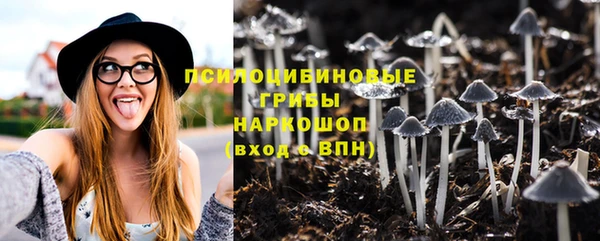 ешки Балахна