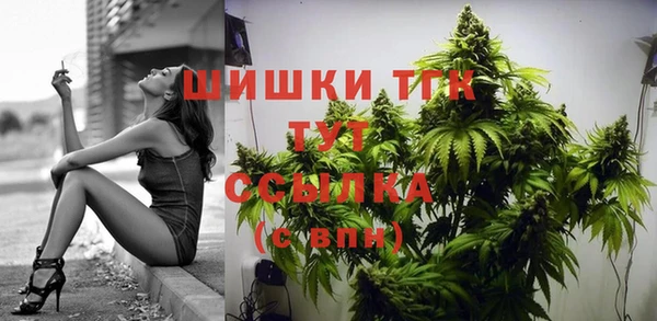 молекула духа Баксан