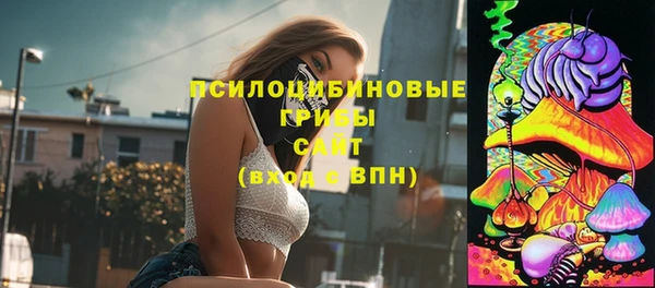 ешки Балахна